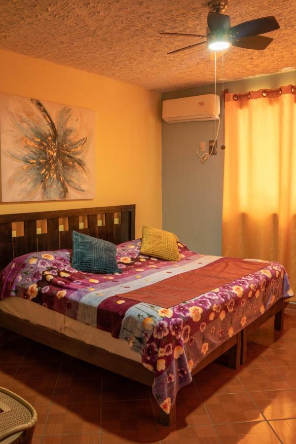Villas La Bella Margarita Brisas de Zicatela المظهر الخارجي الصورة